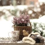 Chyby, ktoré vašej záhrade v zime škodia
